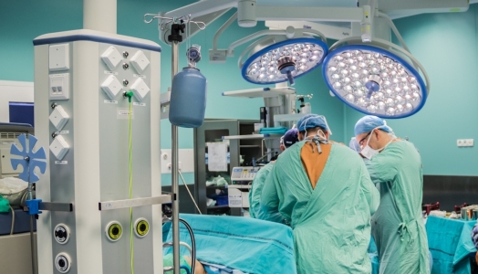   26 stycznia – Dzień Transplantacji