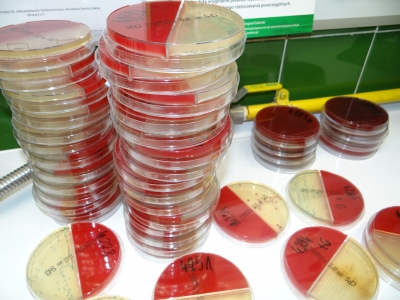 Międzynarodowy Dzień Diagnosty Laboratoryjnego