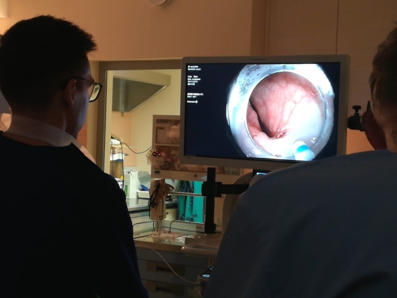 Nowość w gastroenterologii: zabieg ESD